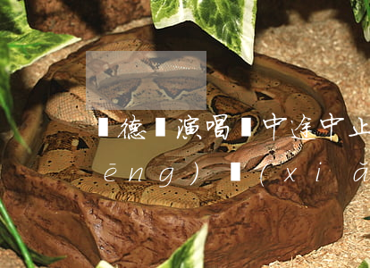 劉德華演唱會中途中止 演藝活動取消風(fēng)險(xiǎn)如何防范？